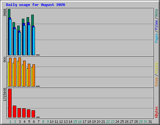 Daily usage for August 2026