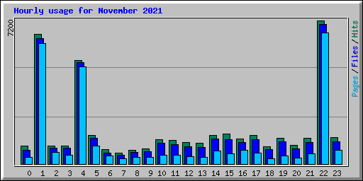 Hourly usage for November 2021