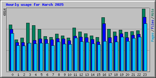 Hourly usage for March 2025