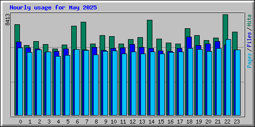 Hourly usage for May 2025