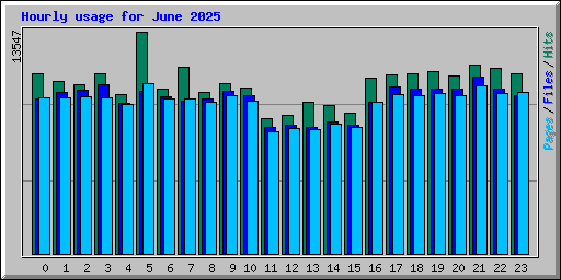 Hourly usage for June 2025
