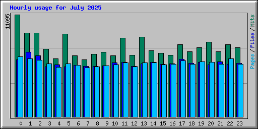 Hourly usage for July 2025