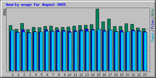 Hourly usage for August 2025