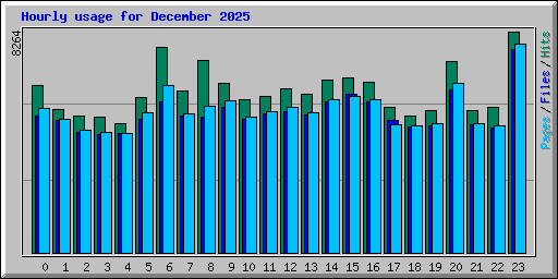 Hourly usage for December 2025