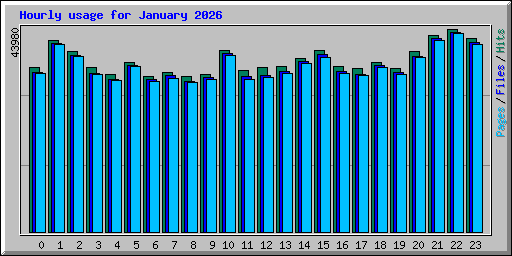 Hourly usage for January 2026